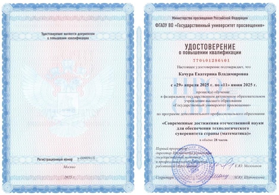 Качура Екатерина Владимировна 2024-2025